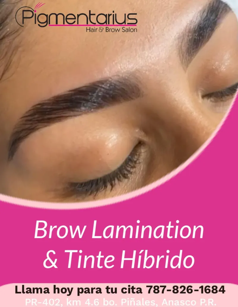 Diseño de cejas realizado en Pigmentarius (Anasco, PR)